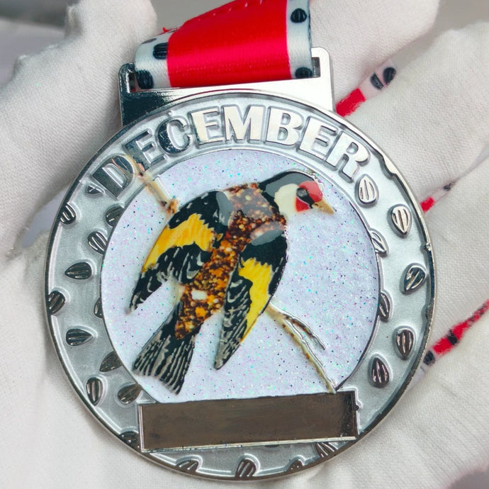 December 2024 - Goldfinch- Great British Wildlife Challenge - 5k to 400 miles - you choose