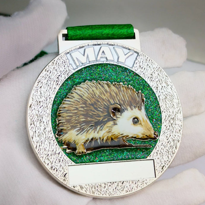 May 2024 -Hedgehog - Great British Wildlife Challenge - 5k to 400 miles - you choose