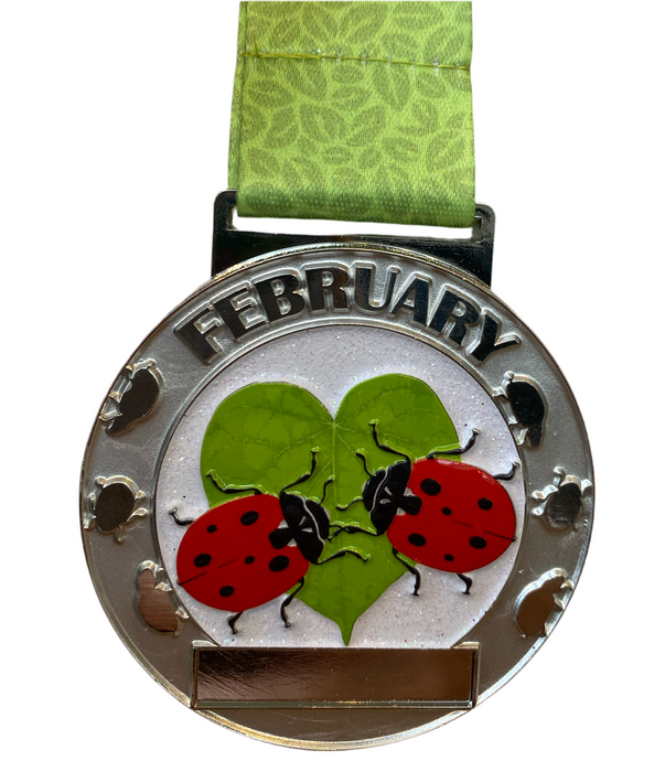 February 2025 - Lady Birds - Great British Wildlife Challenge - 5k to 400 miles - you choose