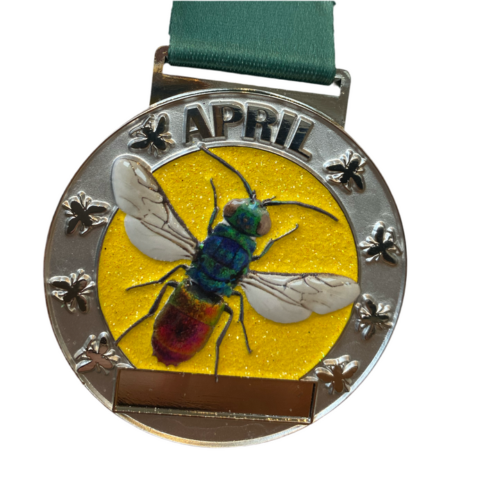 April 2025 - Ruby Tailed Wasp Great British Wildlife Challenge - 5k to 400 miles - you choose